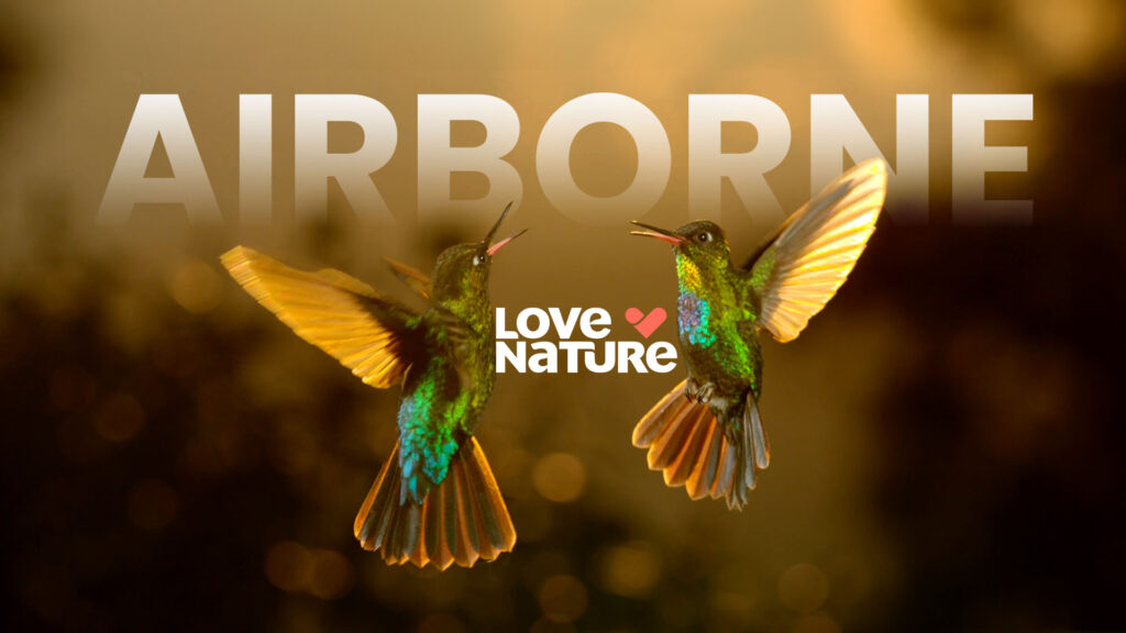 Airborne_LoveNature