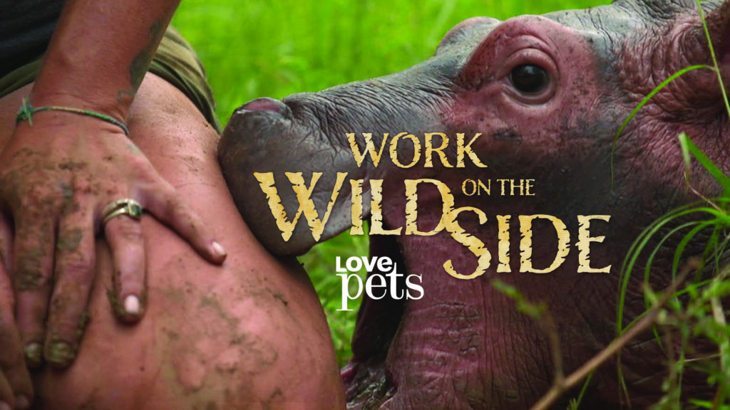 LovePets_Wildside